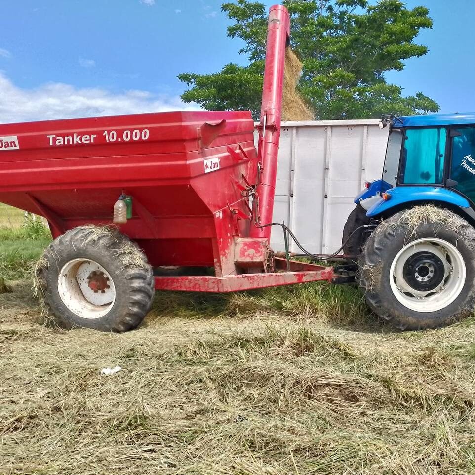 photo_2025-11-24_07-01-52